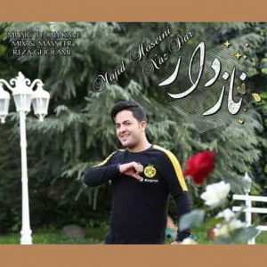 دانلود آهنگ لیلا مجید حسینی
