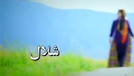 Tarikhema.org
