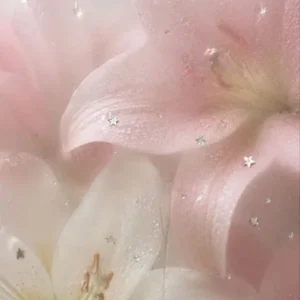 نگران من نباش تنها نموندم عزیزم آسمونو میبینم