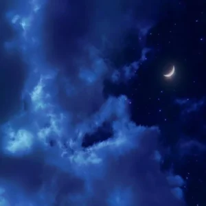 آخرین عشق دنیا زنده اس تو دوره ای که همه چیزو جویید