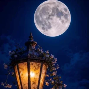 اگه بات شدم بد همه عکسارو چال کن احمق