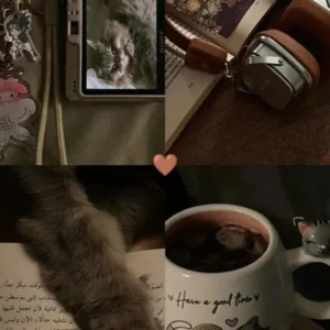 حالیت نی من تنهام نمیفهمی غم رو از حرفام