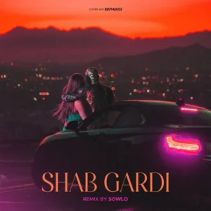 شب گردی