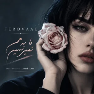 ما به هم نمیرسیم