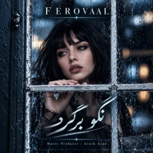 نگو برگرد
