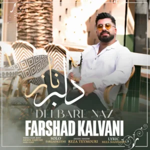 دلبر ناز