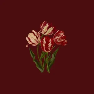 دلبرت سفر کنه تنها شوی مثل ماهی ها (میکس اینستا)