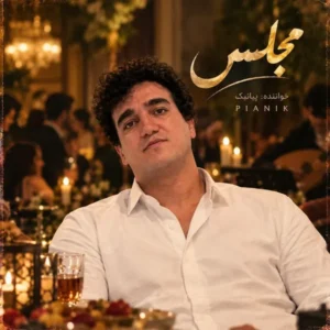 مجلس